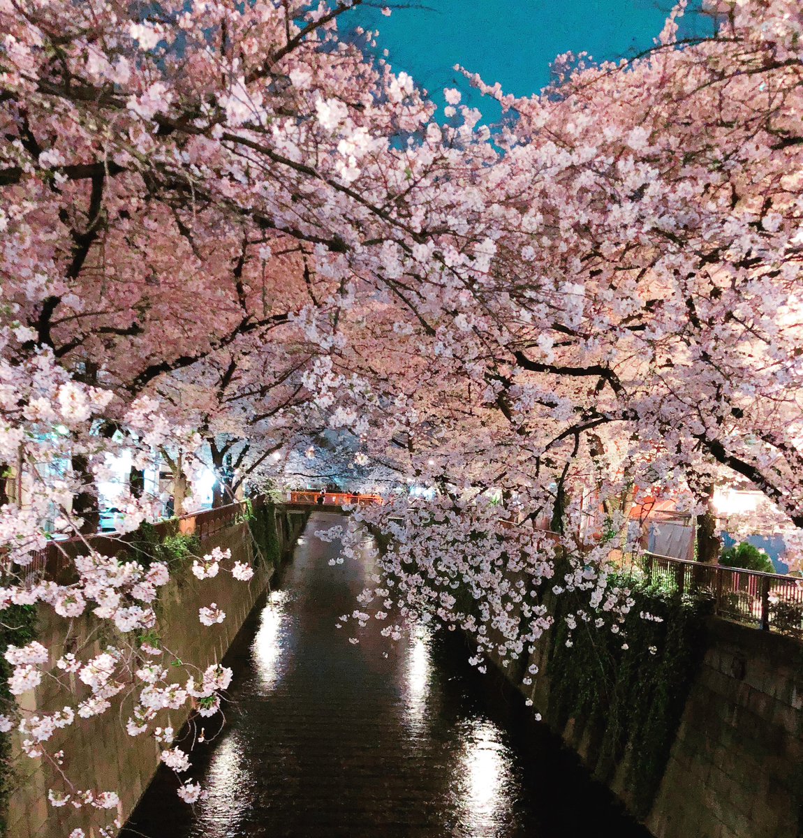 もう一年が経ちました。
元気にしてますか？
こっちは総理大臣が代わったり10月なのに夏日があったりしてます。
先月、今更コロナになりました。
あっちゃんがなった時に「ねりも気をつけろ」と言ってくれたのを思い出します。
年末にもし会えたら飲みましょう。
ではまた。