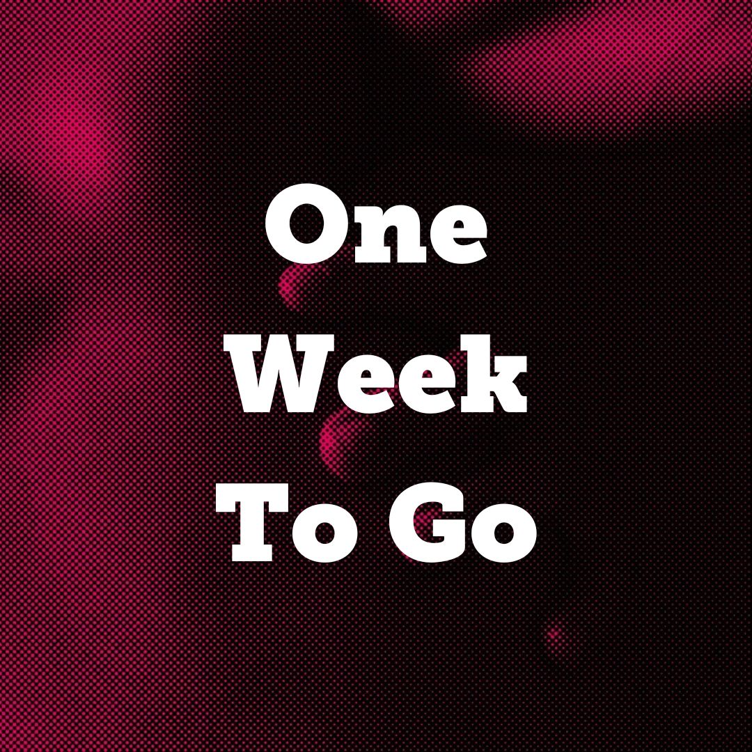 Undershed – our new immersive gallery – opens in just one week! We’d love you to come and visit. Opening from Sat 26 Oct.