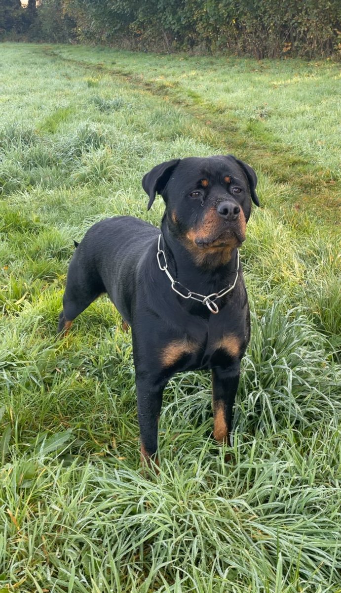 john kita tweet media