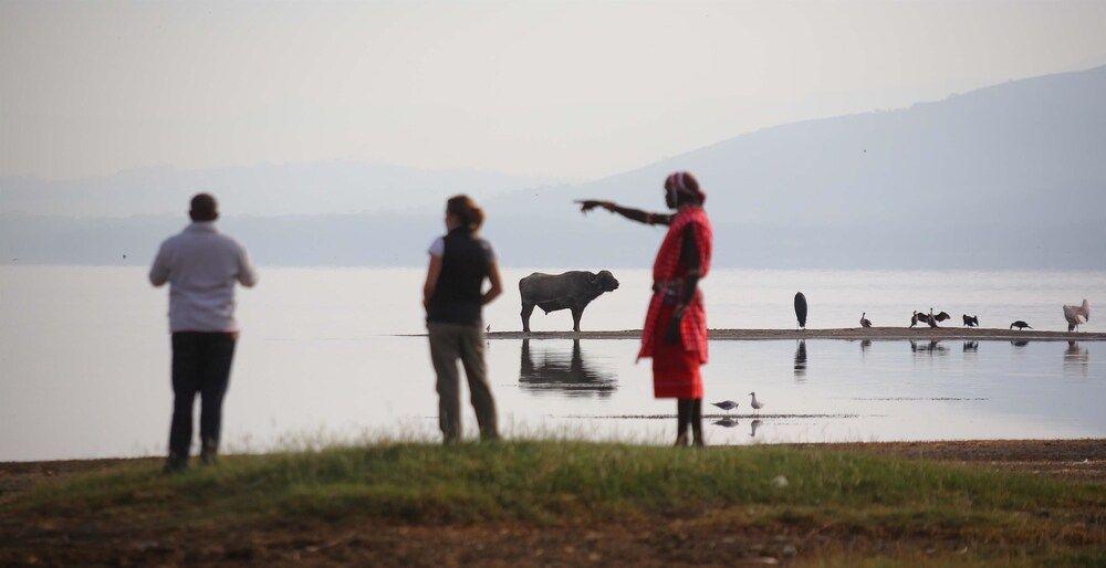 novan_global's tweet photo. Breathtaking Panoramic views* 
This Lodge is a beautiful retreat set in Lake Nakuru National Park.

Book your holiday today:
Online:https://t.co/RzVInrpgcJ
📞: +254779660060
📧experience@novanglobal.com
🪀https://t.co/SfqSnvEuq7 https://t.co/73ypmLmsSu
