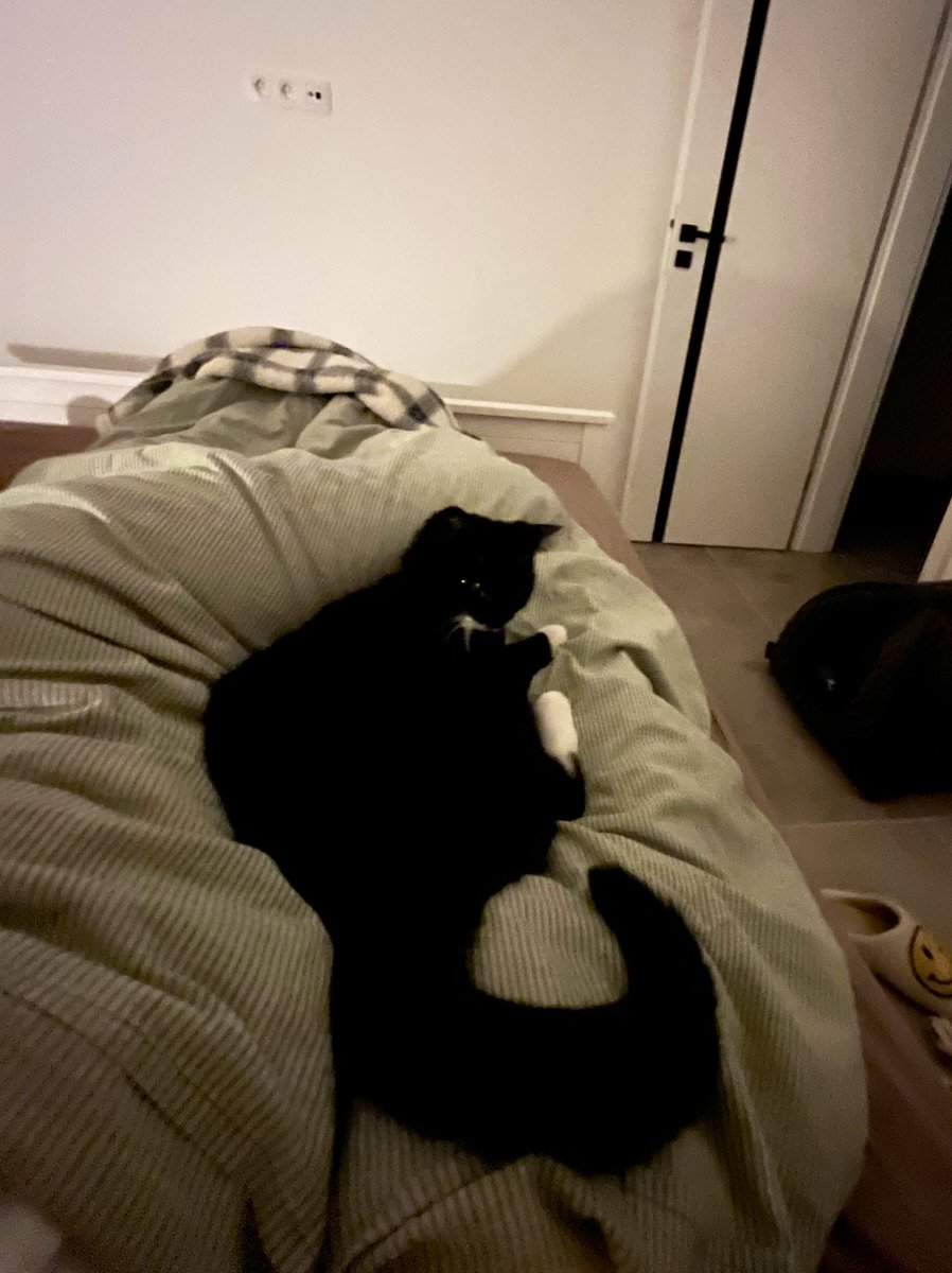 ᴇʟɪɴ ᴗ̈ tweet media