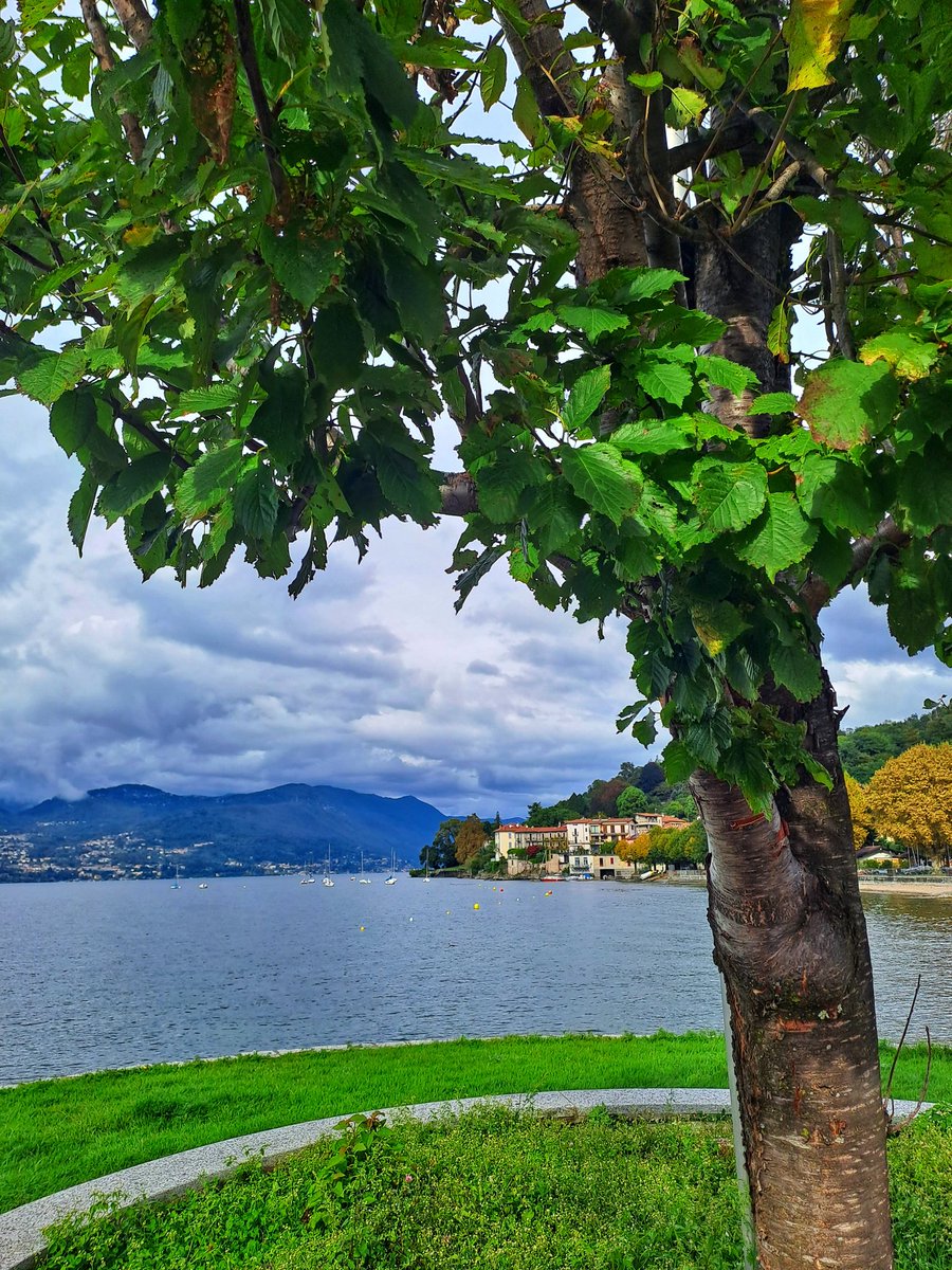 "Meglio un ateo onesto che si interroga piuttosto che un bigotto seduto in poltrona che non si pone domade".

Davide Maria Turoldo, coscienza inquieta della Chiesa