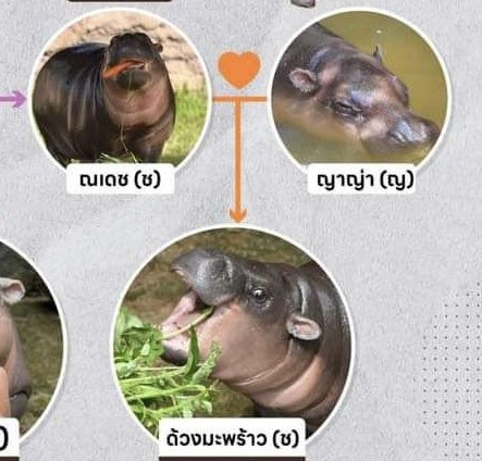 อย่าบอกนะว่า……