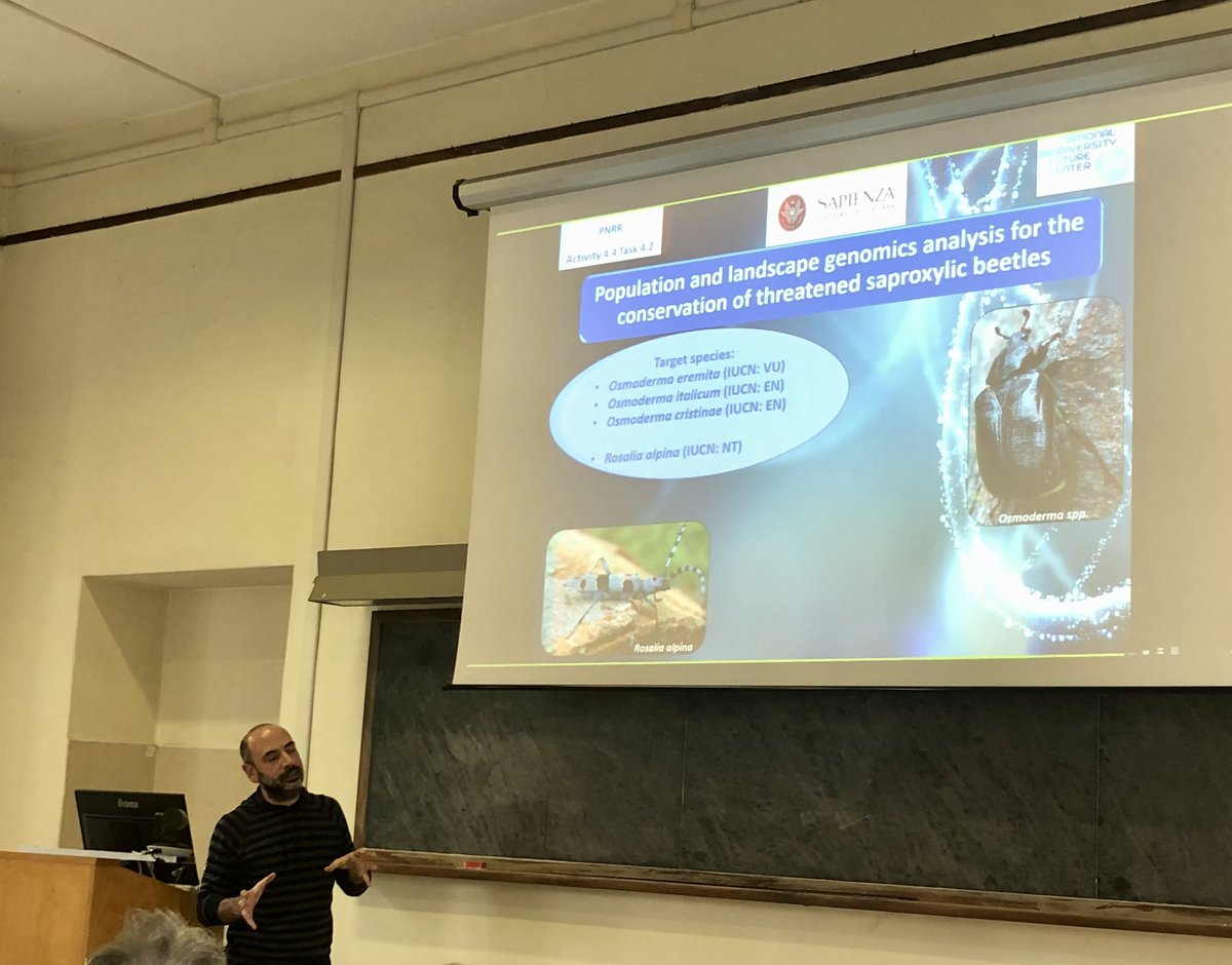 GMA Lab (@global_mammal) on Twitter photo Riunione sullo stato di avanzamento del progetto Activity 4.4 Task 4.2 Scenarios of area-based conservation and management 🦋🐸🐻🐺🦎
Pierfilippo Cerretti, Ludovico Rossi, Alessandra Bissattini, Vincenzo Buono <a href="/global_mammal/">GMA Lab</a>
<a href="/carlo_rondinini/">Carlo Rondinini</a> <a href="/UniboBiome/">BIOME - Biodiversity and Macroecology</a> <a href="/alechi66/">Alessandro Chiarucci</a> <a href="/nbfc_italy/">NBFC - National Biodiversity Future Center</a> Riunione sullo stato di avanzamento del progetto Activity 4.4 Task 4.2 Scenarios of area-based conservation and management 🦋🐸🐻🐺🦎
Pierfilippo Cerretti, Ludovico Rossi, Alessandra Bissattini, Vincenzo Buono <a href="/global_mammal/">GMA Lab</a>
<a href="/carlo_rondinini/">Carlo Rondinini</a> <a href="/UniboBiome/">BIOME - Biodiversity and Macroecology</a> <a href="/alechi66/">Alessandro Chiarucci</a> <a href="/nbfc_italy/">NBFC - National Biodiversity Future Center</a>