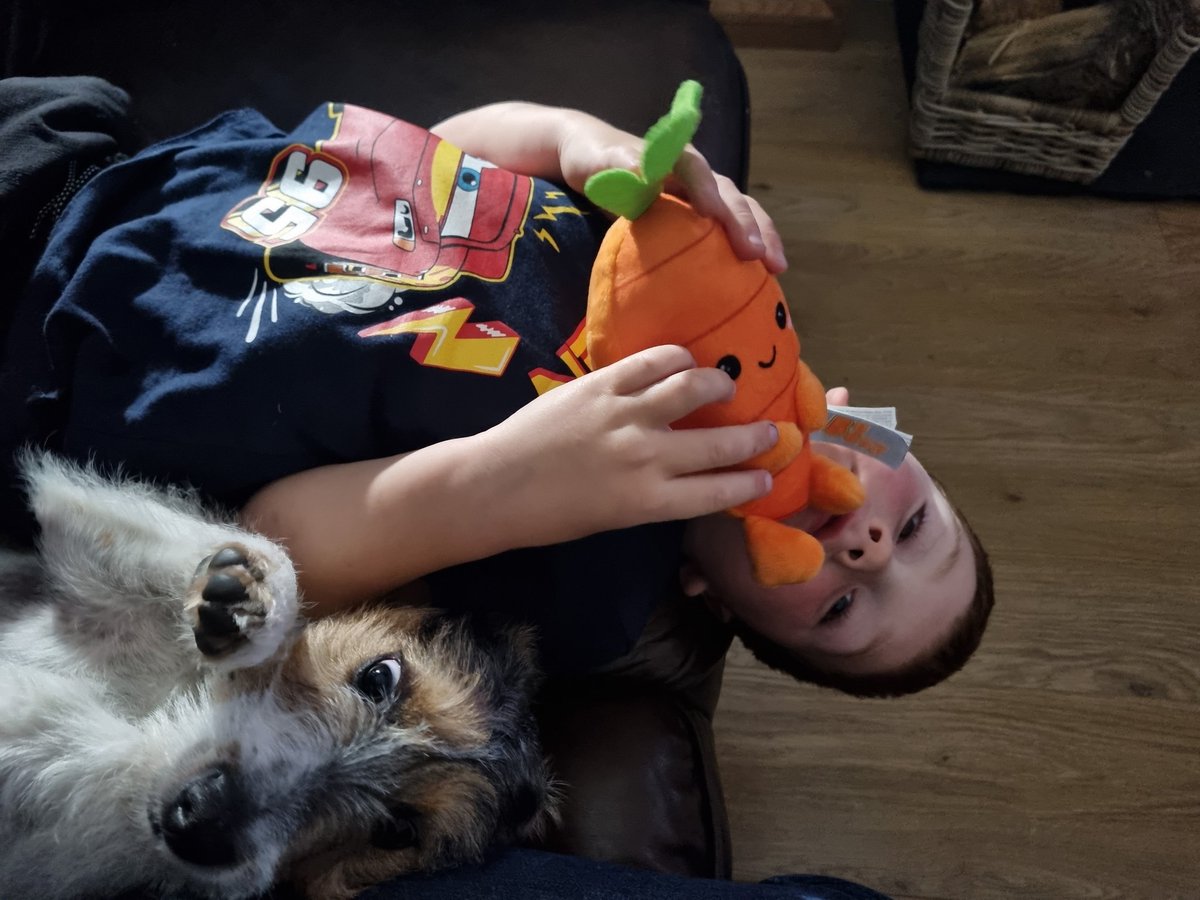 CatieAtkinson82's tweet photo. #bestfriends even sit the  same on the sofa 🤦‍♀️🤣
Love the development of their relationship #percypuppy #friendship #support #exercise #love https://t.co/LIvP1dQc57