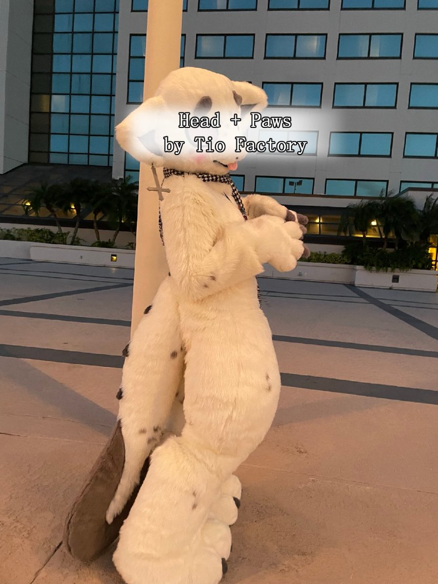 New #fursuit review:
[YES] Eel the Aquatic Ghoul Bodysuit by @shwitcreations

Read it here:
fursuitreview.com/r/yes-eel-the-…