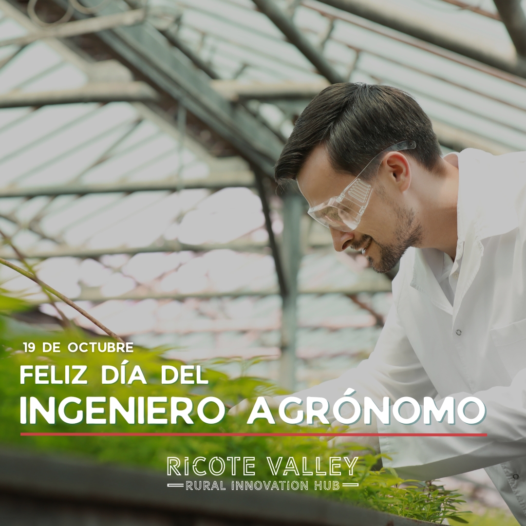 🌱 En el Día del Ingeniero Agrónomo, reconocemos el compromiso y la dedicación de quienes trabajan para transformar la agricultura. Su labor es esencial para garantizar un futuro sostenible, impulsando la innovación y mejorando la calidad de nuestros alimentos.