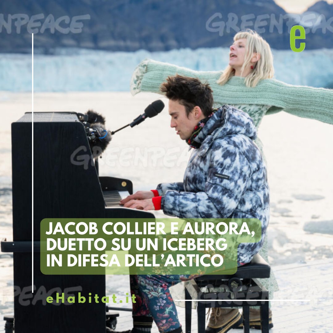 Il sei volte vincitore del Grammy britannico Jacob Collier e la cantante norvegese AURORA si esibiscono in un’emozionante performance nell’Artico, in collaborazione con Greenpeace International.

🔗 Approfondisci:

ehabitat.it/2024/10/19/jac…

#artico #jacobcollier #aurora