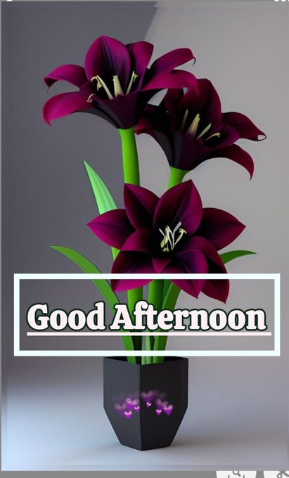 ranaabdula51513's tweet image. Good Afternoon