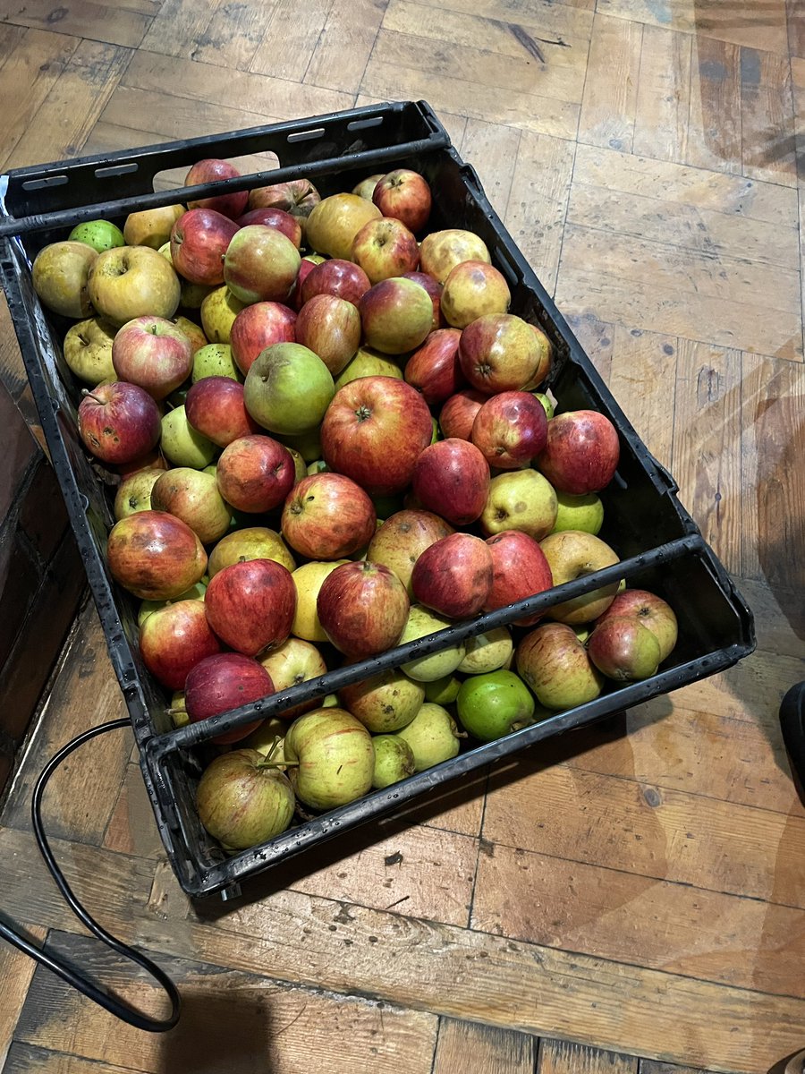 YoCo Community tweet media