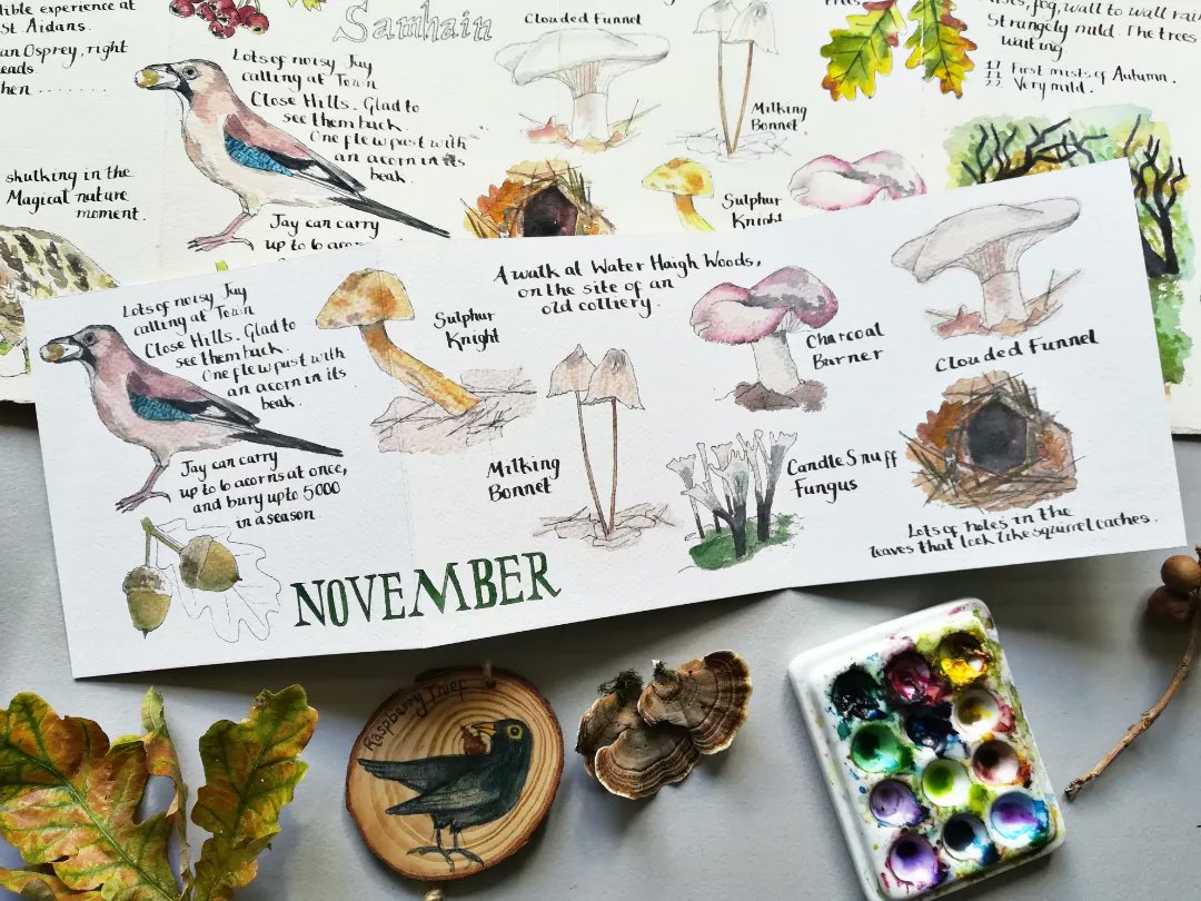 Angela Hennessy - Raspberry Thief tweet media