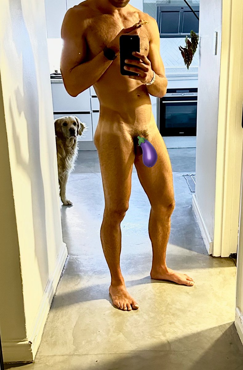 I can never eat a pizza in peace.