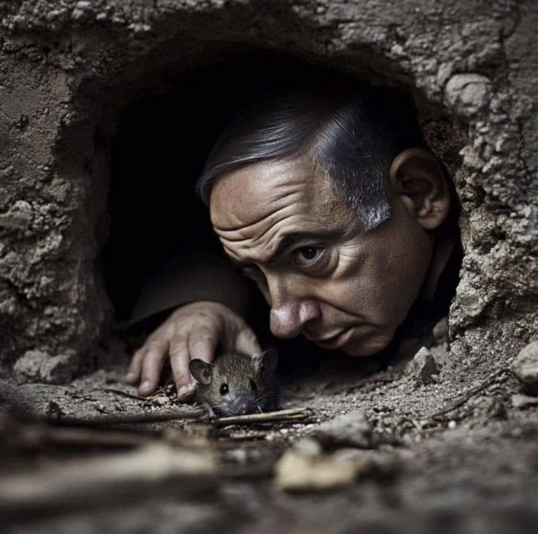 mrymshly_a's tweet photo. @IsraelPersian https://t.co/BRqjpEibf8