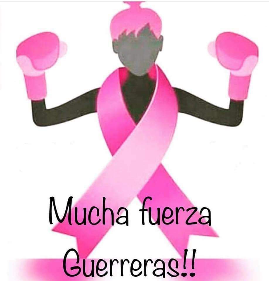 La lucha no se negocia, y mujeres guerreras y valientes como vosotras jamás os rendireis en esta lucha.

#DiaMundialContraElcancerdemama 
#contigodamoslacara 
#SumateAlRosa 
#19DeOctubre
#MujerValiente