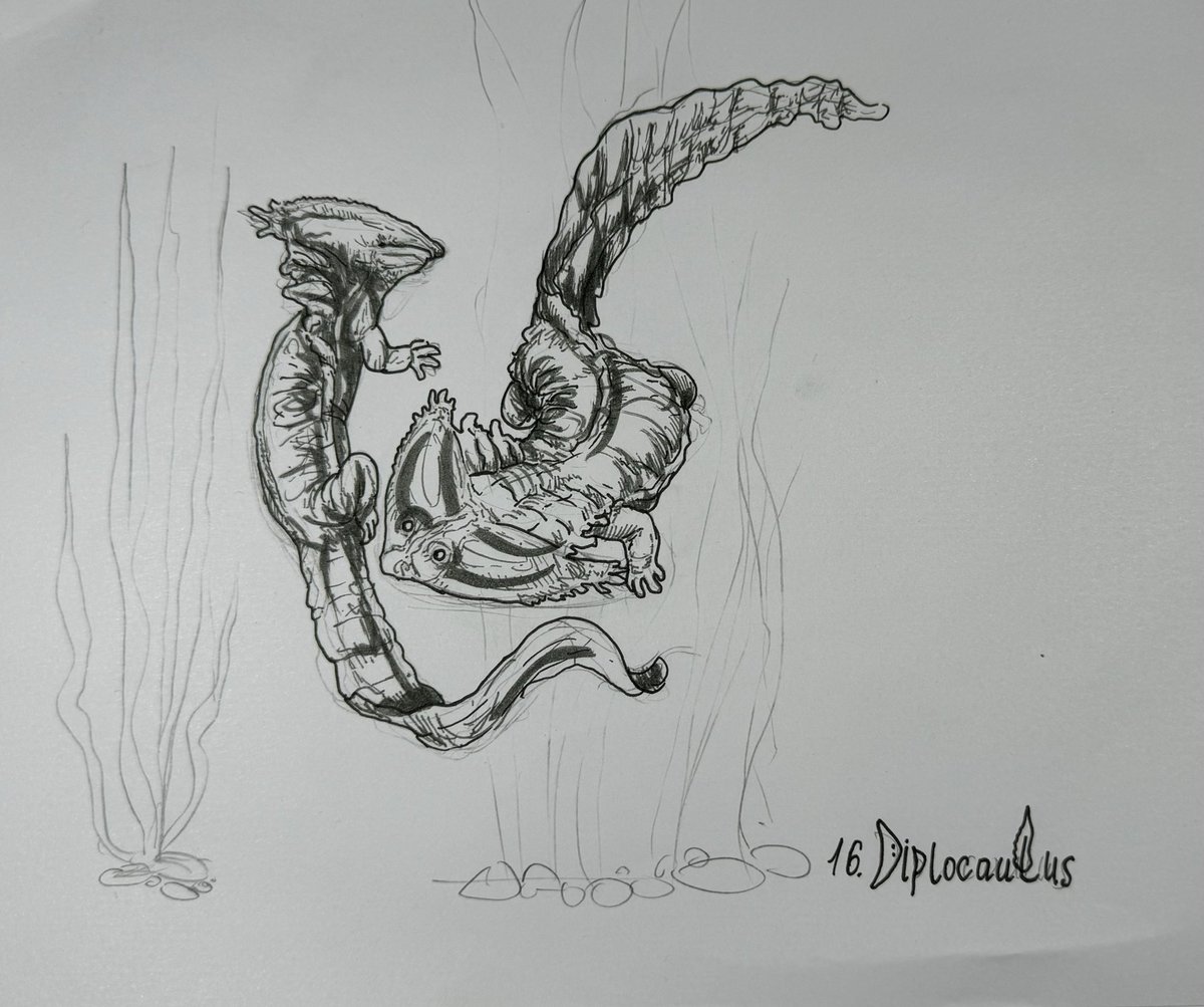 Mr.LeCroc tweet media