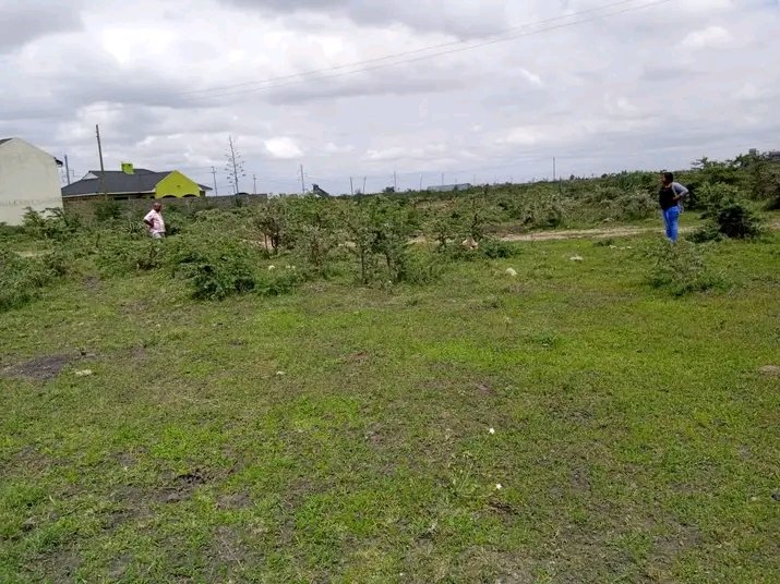 SouthE_Invest's tweet image. Affordable land investment opportunity in Kinanie!!
We are down to the last few plots in Kinanie,Gimu phase III - Prestine Heights.
Don’t miss out on the chance to own prime ready titled plots &amp;amp; acre blocks in Kinanie at just 1.5M

 Call for a site visit:
0715563489
0714370768