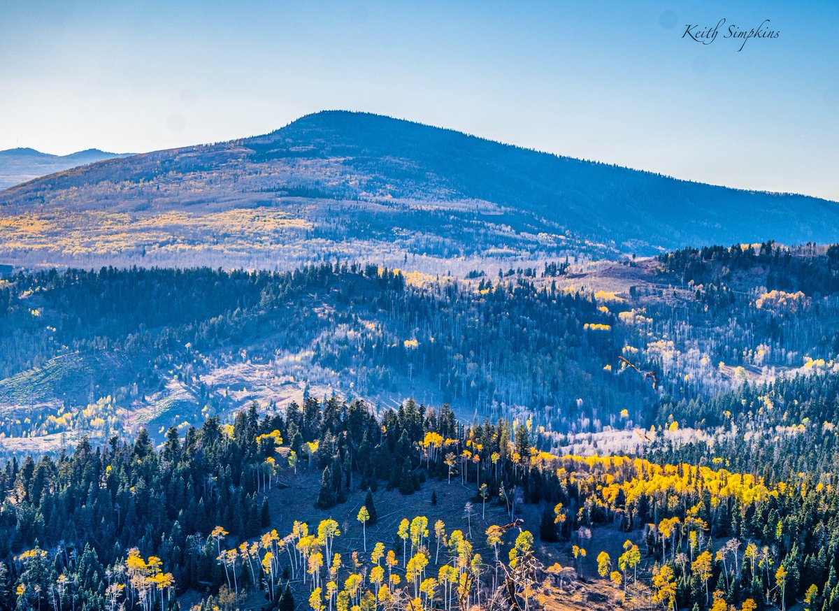 KeithSimpkins37's tweet photo. https://t.co/qq0GuiDmdJ

Like and share, thank you!

Follow me @ https://t.co/mXSKY3YB2F 
#trees #autumn #mountains #travelphotography #outdoors #beautifuldestinations #picoftheday #photography #photooftheday #landscapephotography #digitalart #phototoartist https://t.co/gvcOhykFar