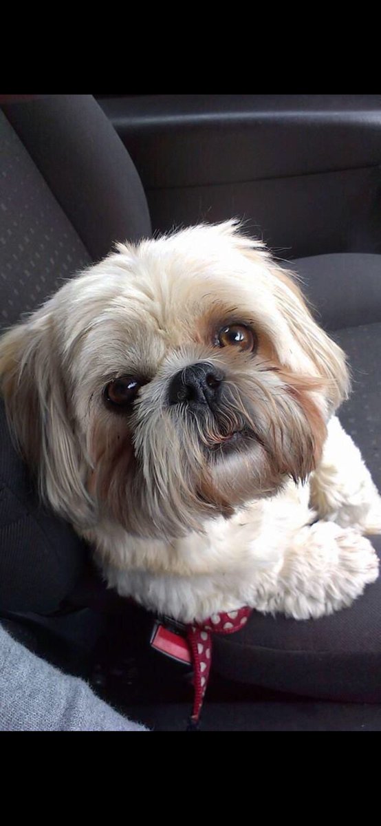 Sending me love to me Twinnie who's gained his wings............Me reflection won't ever be the same bro. Until we meet again.😪😪😪🤧😪😪😪😪  RIP Stan