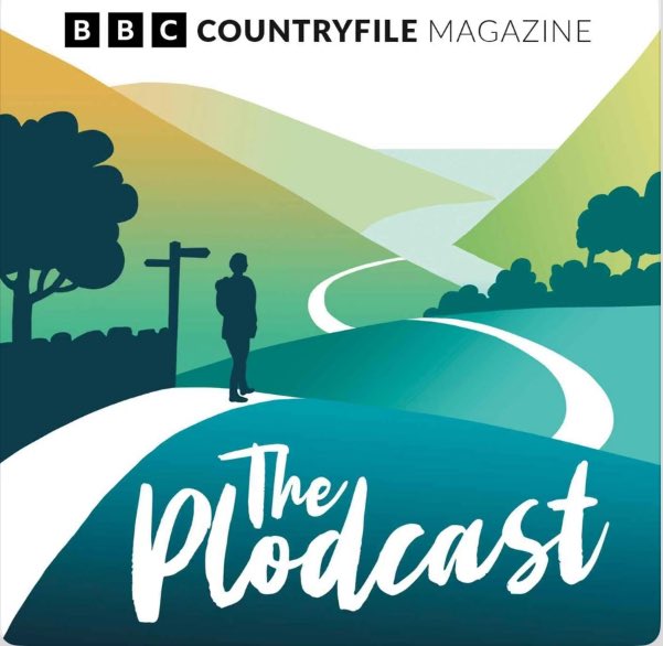 Catherine Carr tweet media