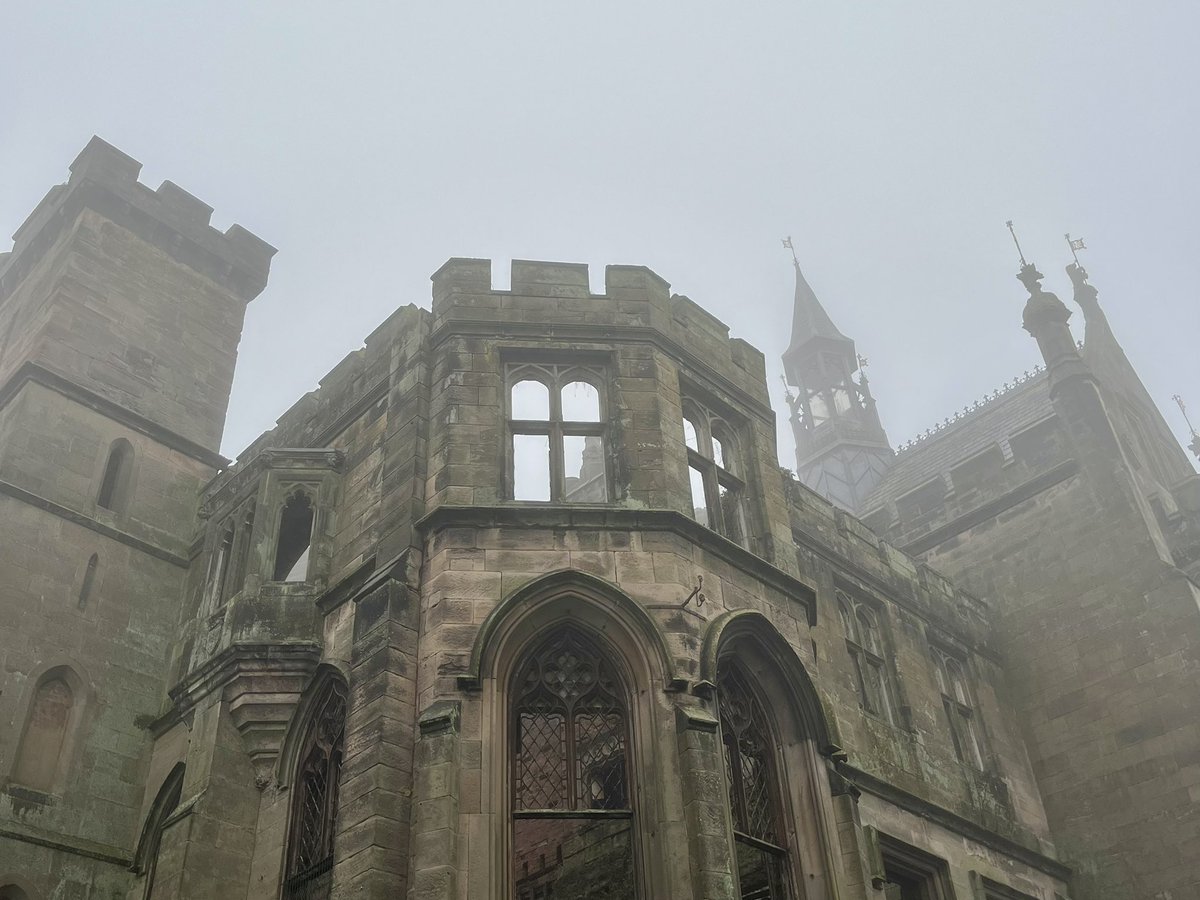 cgonier's tweet photo. Foggy Alton Towers 😶‍🌫️🤩 https://t.co/PsnnQrBYyw