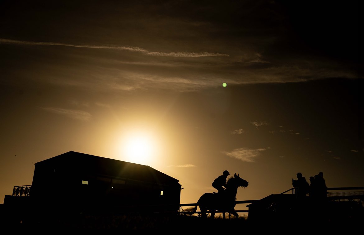 Brighton Racecourse (@brightonrace) on Twitter photo A huge thank you to everyone who joined us this season โ๏ธ ๐
It has flown by but been a season of so many memories ๐
We canโt wait to welcome you back through the gates in the spring! โ๏ธ
Our opening 2025 fixture will be Saturday 12th April ๐
๐ธ <a href="/dcoolimages/">Darren Cool Images</a> A huge thank you to everyone who joined us this season โ๏ธ ๐
It has flown by but been a season of so many memories ๐
We canโt wait to welcome you back through the gates in the spring! โ๏ธ
Our opening 2025 fixture will be Saturday 12th April ๐
๐ธ <a href="/dcoolimages/">Darren Cool Images</a>