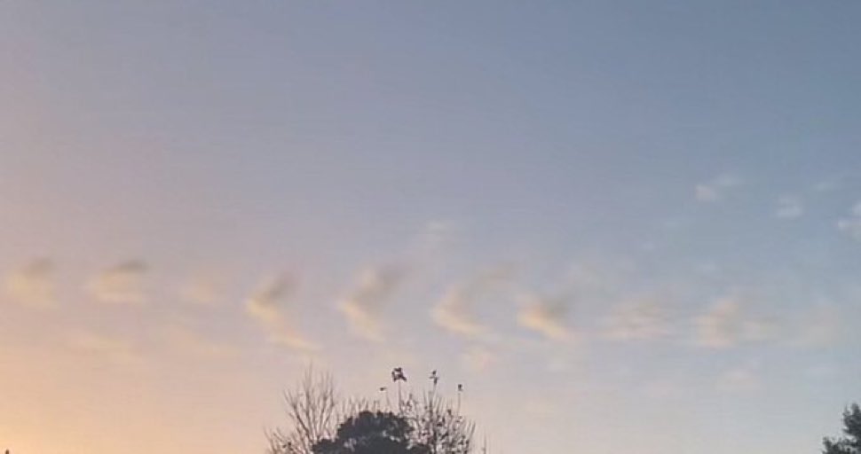 "Guardaci ogni tanto, okay? Io guarderò il cielo per cercarti."

Grazie per aver risposto. 🤍