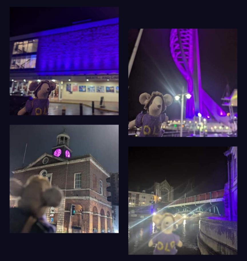 TheDLDMouse's tweet image. I loved seeing the different buildings in Hampshire and Dorset light up! Did anyone else visit any of these? Did anyone see Christchurch priory? I think I was too late to see the lights there #dldday 💜💛