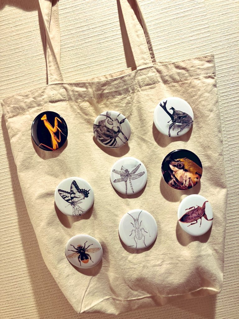 Nodai_Entom's tweet photo. こんばんは！学部3年です
今日は缶バッジを制作していました！
まだ試作段階ですが、こんな感じに服やバッグ等いろいろな所に付けられるのでおすすめの商品です！
柄も増やしたり試行錯誤して本日に���綺麗な商品になるように頑張ります #収穫祭 
 #昆虫学研究室  #東京農業大学 https://t.co/3Q4TP3yAx0