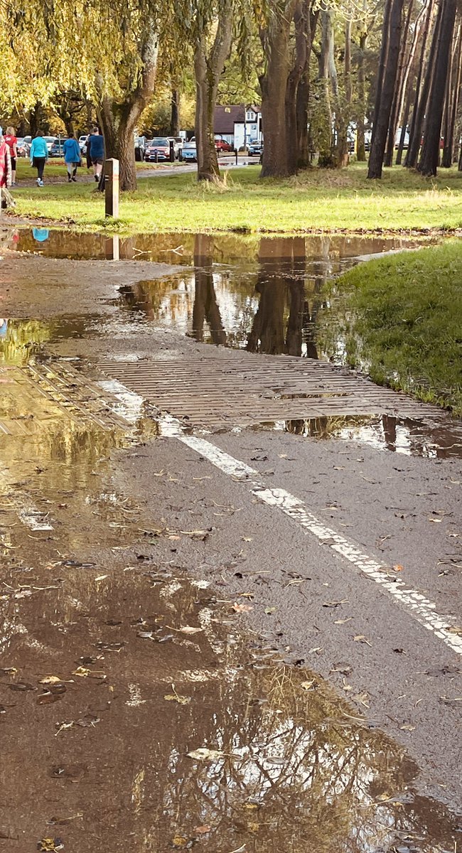 DispenseDigest's tweet photo. A melancholy morning at @Bruetonparkrun #runningthrough #puddles #nature ☔️🌧️💧🍁🍂#loveparkrun 🧡 https://t.co/z4rpZC8mix