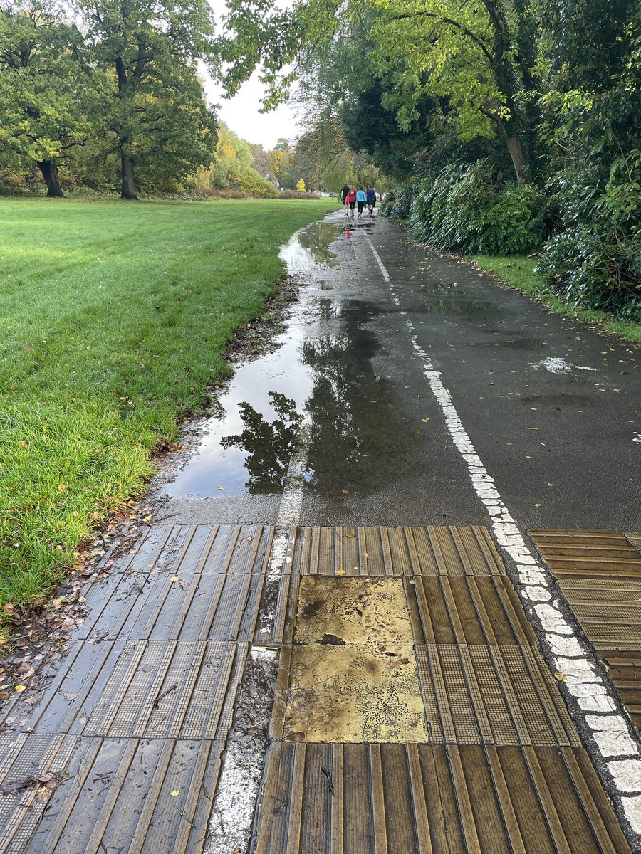 DispenseDigest's tweet photo. A melancholy morning at @Bruetonparkrun #runningthrough #puddles #nature ☔️🌧️💧🍁🍂#loveparkrun 🧡 https://t.co/z4rpZC8mix