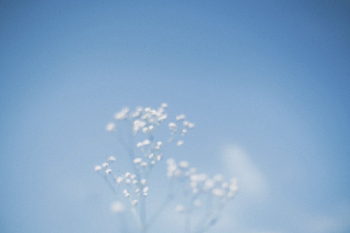 __bluemoon____'s tweet photo. 私の写真に存在価値はあるのだろうか https://t.co/y5Pv5mm3x2