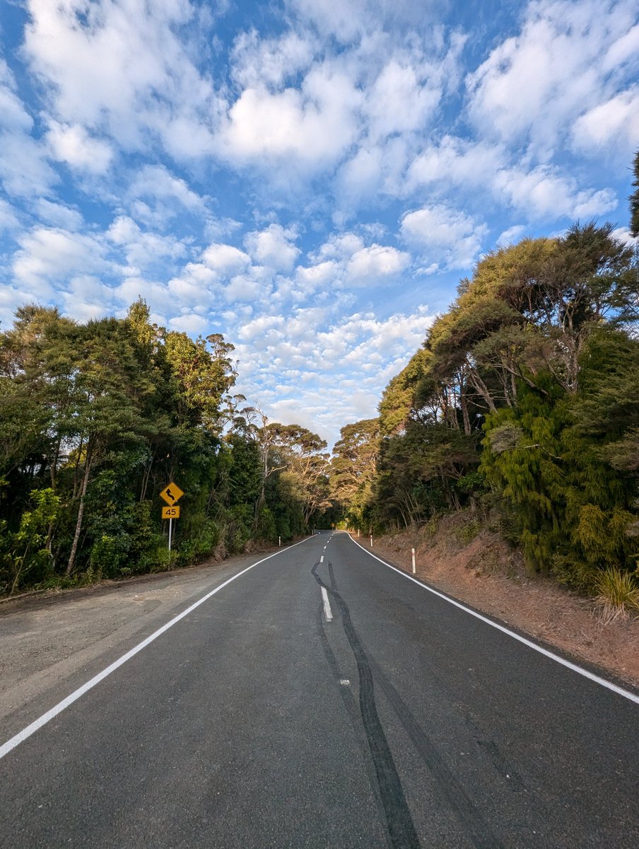 Nothing better than driving the roads in New Zealand 🚐