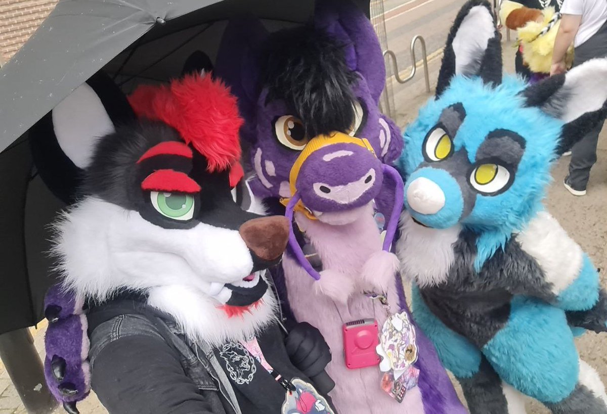 IT'S <a href="/BrumFurs/">BrumFurs 🐾</a> TODAY <a href="/ArtyKnightsire/">Artorius/Raven</a> <a href="/KinanB01/">Kinan (and Kel...)</a> 💙🐾