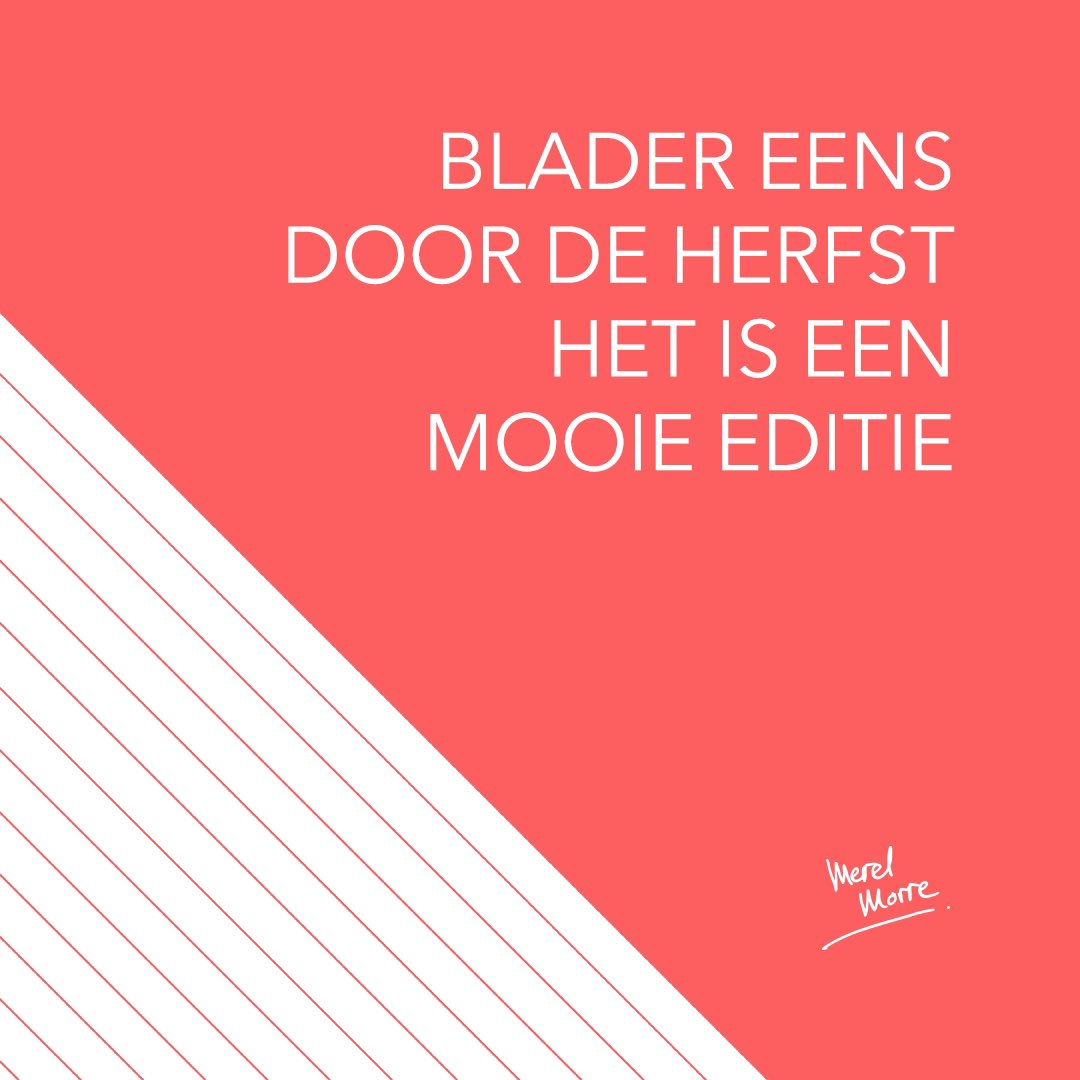 MerelMorre's tweet photo. 🍁 🍂 bladeren maar! 🍂🍁 https://t.co/BUgmVCtYut