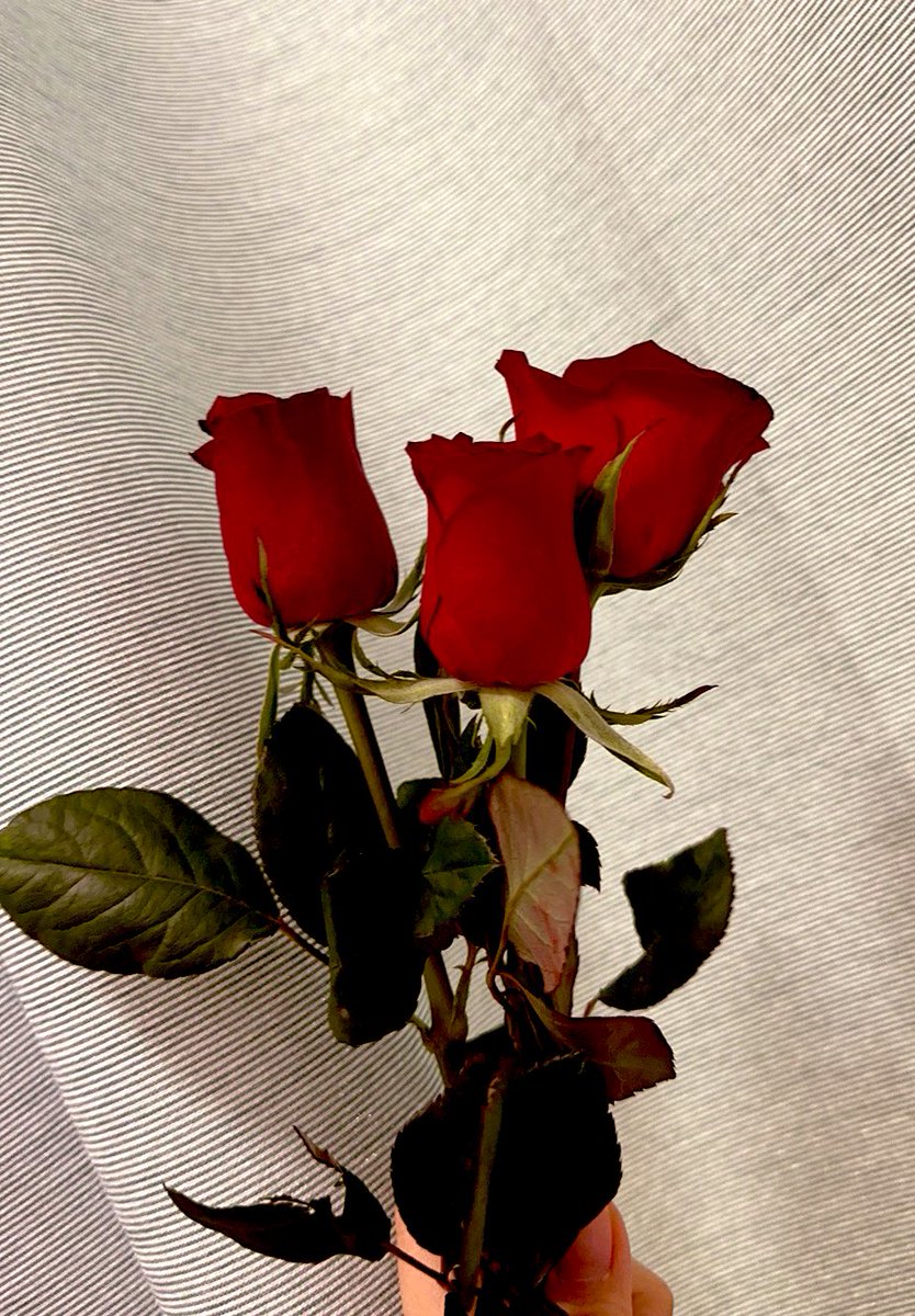 ユイジー🍉 tweet media