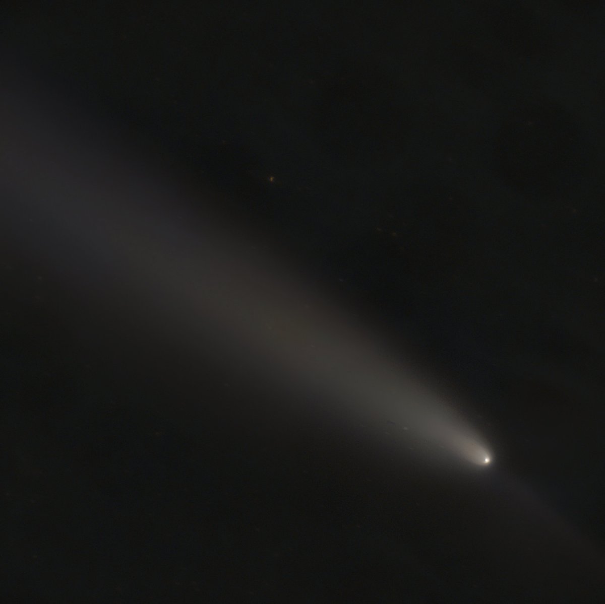 CelestialSail (@celestial_sail) / Posts / X