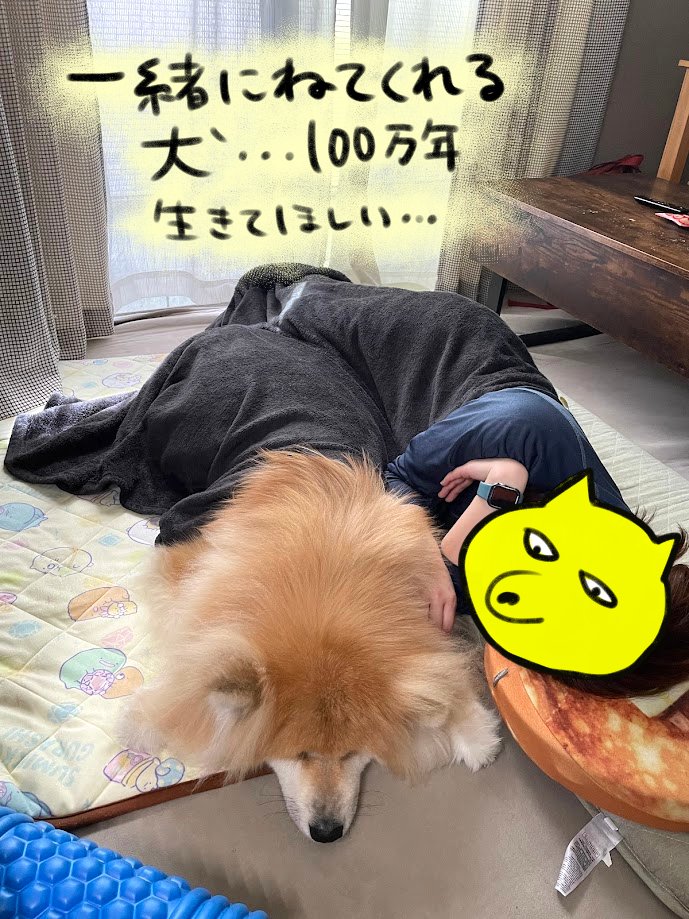 30㎏越えの大型犬との暮らし 毎日「でかいな…」と思います めんこいね 