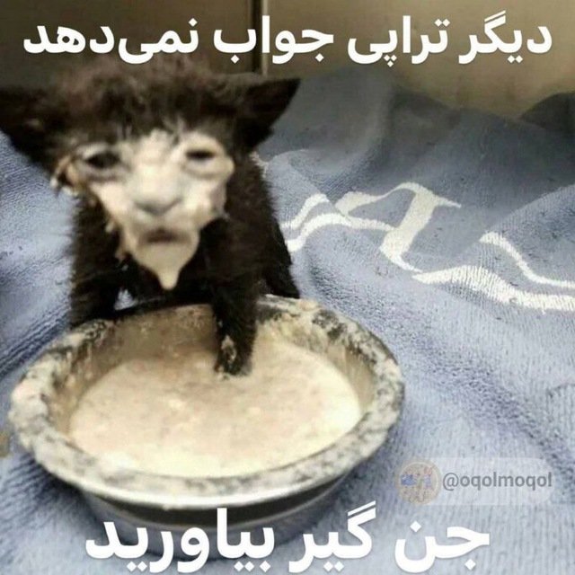 مــــهــــتی tweet media