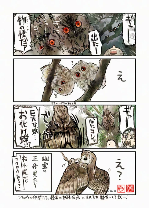 幽霊の 正体見たり…フクロウたち?①
フクロウの仲間たち、怪異や妖怪伝承にまあまあ関係してる説🦉 