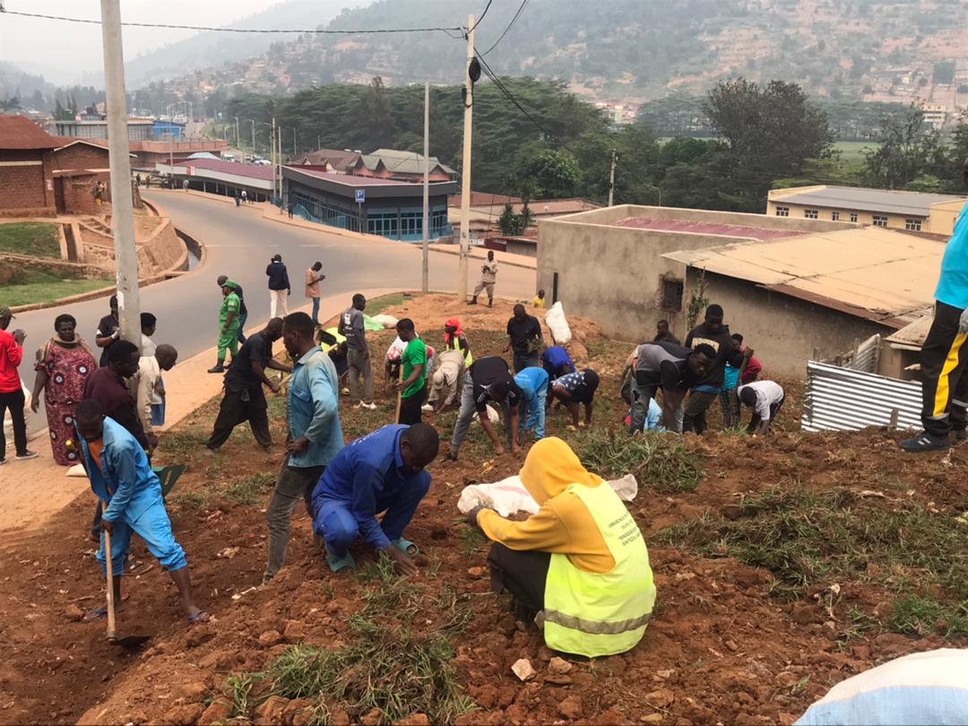 NycMuhima's tweet photo. Uyumunsi: urubyiruko rw'Abakorerabushake ba @MuhimaRwanda bafatanyije n'Ubuyobozi bw'umurenge bazindukiye mu muganda wo gutera #Pasiparume munsi y'ikigo cya Police, mu rwego rwo kubungabunga ibidukikije ndetse no gukumira Ibiza. https://t.co/yjp8305b3Y