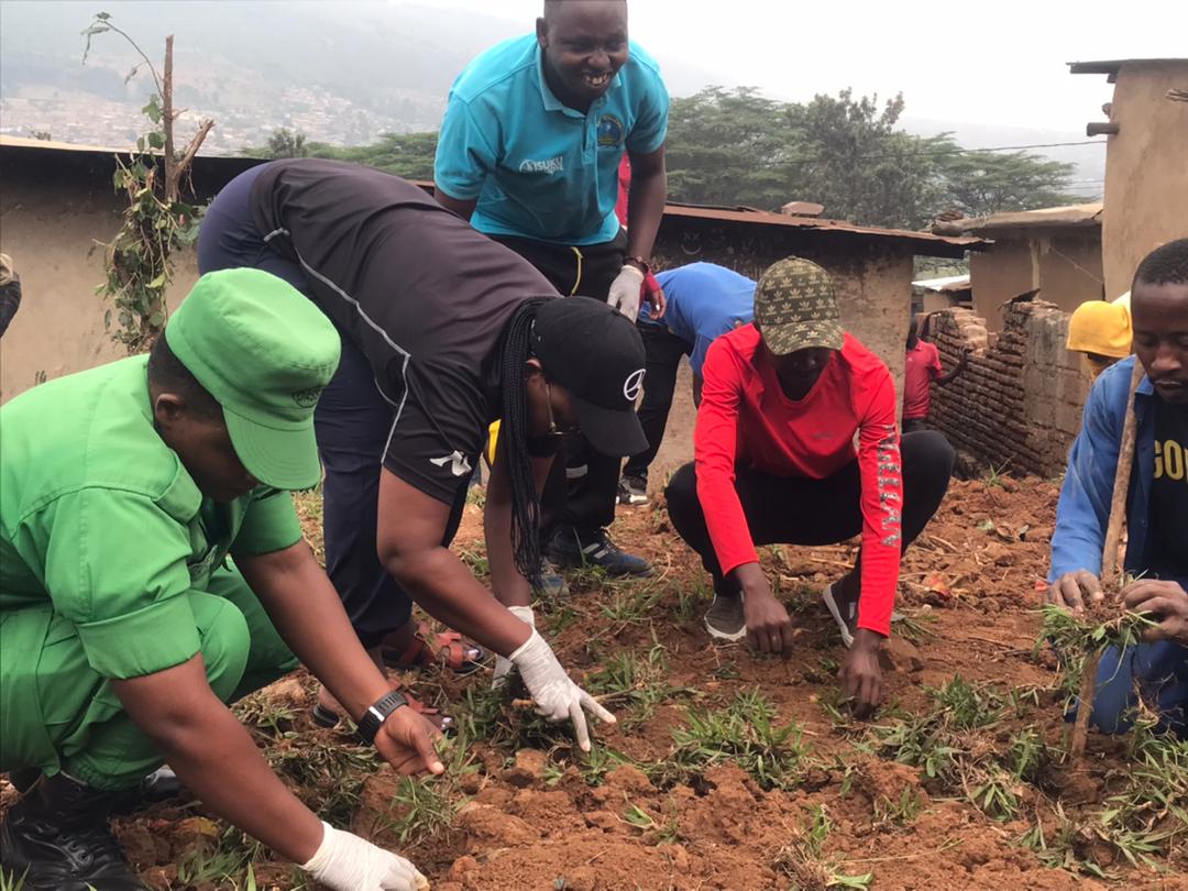 NycMuhima's tweet photo. Uyumunsi: urubyiruko rw'Abakorerabushake ba @MuhimaRwanda bafatanyije n'Ubuyobozi bw'umurenge bazindukiye mu muganda wo gutera #Pasiparume munsi y'ikigo cya Police, mu rwego rwo kubungabunga ibidukikije ndetse no gukumira Ibiza. https://t.co/yjp8305b3Y