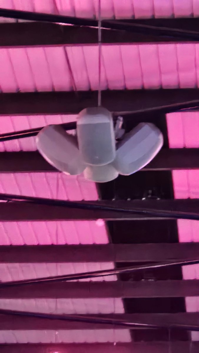 PidgeGaming tweet media