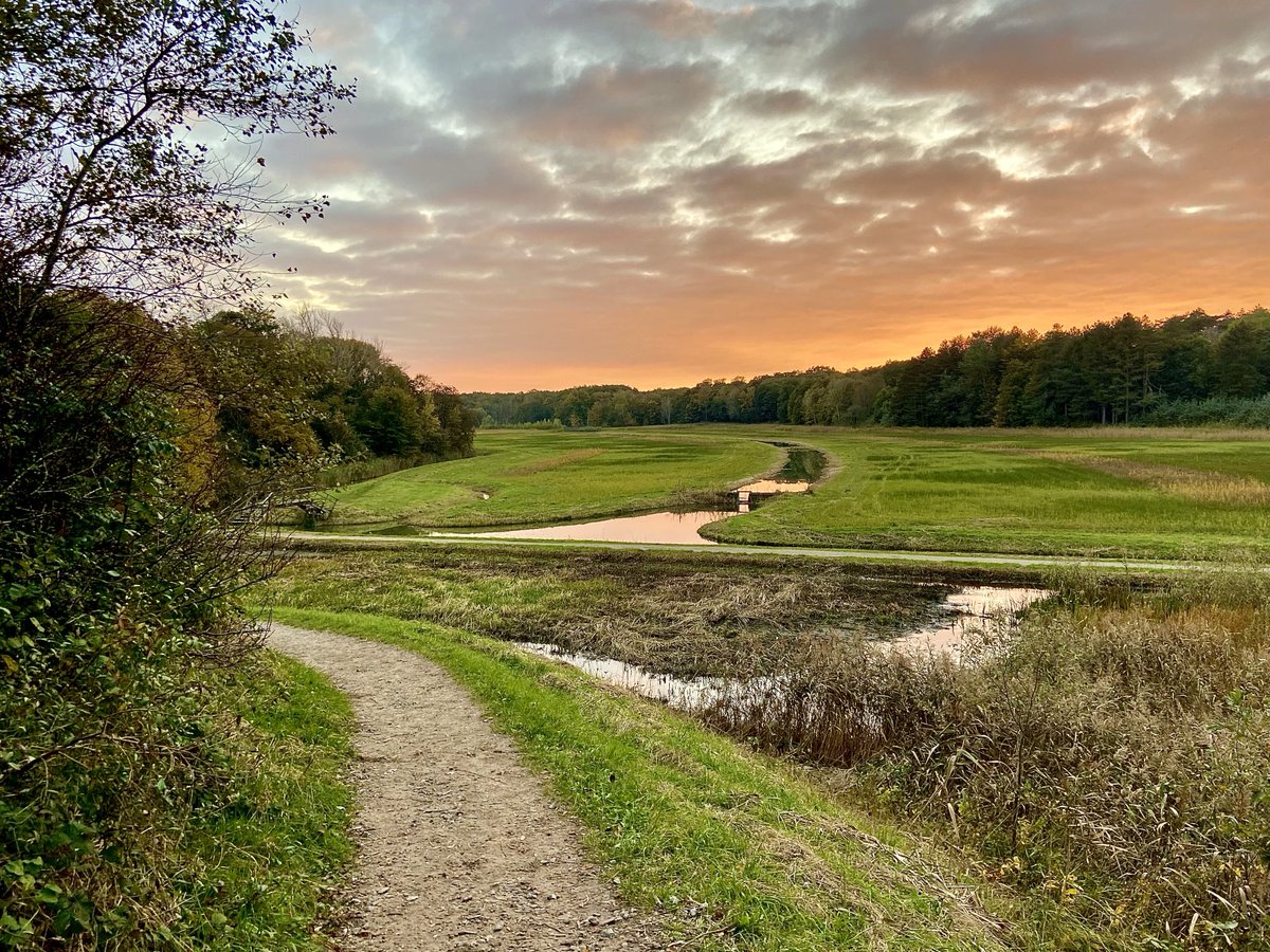 BloemendaalE's tweet photo. #kleurindelucht #fot_o_ktober #Middenduin, Overveen, 18 oktober 2024.
(Elke dag van het jaar mooi💚) https://t.co/1ZJteb0gaH