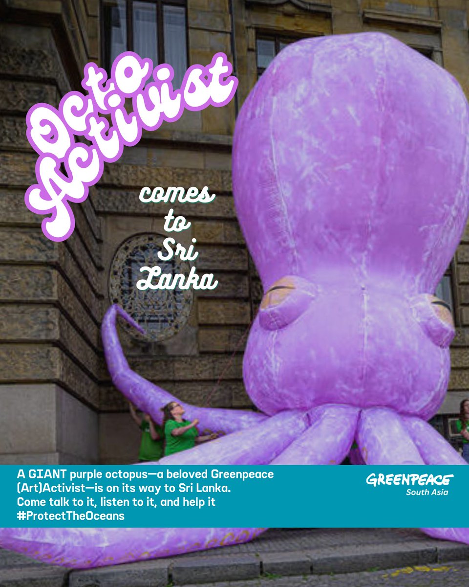 SA_Greenpeace's tweet photo. It's time to make waves !!! Join us tomorrow to meet our giant purple octopus🐙and raise awareness for ocean conservation!🌊

🗓️ 20 Oct 2024
⏰ 4 PM - 7 PM
📍 Colombo Lotus Tower, Sri Lanka

Come support the Global Ocean Treaty and help #ProtectTheOceans!

#BBNJ #HighSeasTreaty🌊 https://t.co/wmZUB9So32