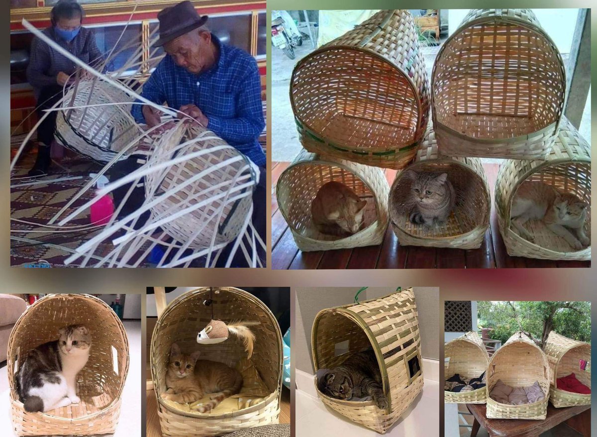 บ้านแมวสานมือฝีมือตายายสานงานภูมิปัญญาชาวบ้าน🐱 tweet media