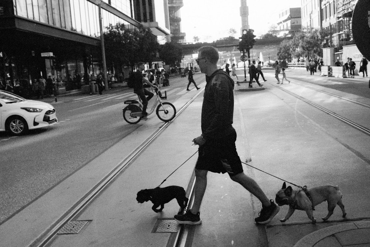 Jour 19 - Chiens

#31themesAnalogChallenge