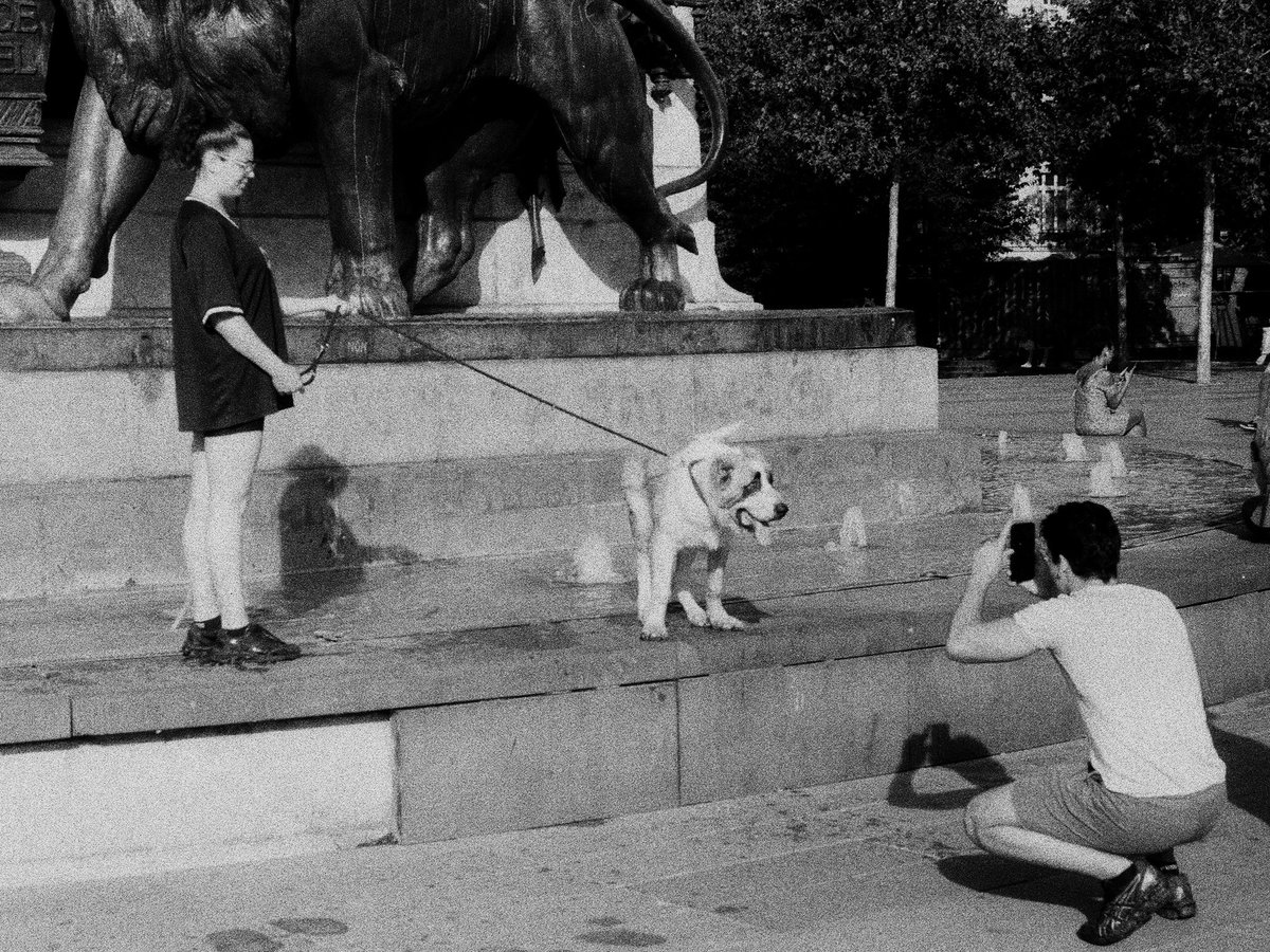 rip_neon's tweet photo. Jour 19 - Chiens

#31themesAnalogChallenge https://t.co/sXpAriMF1k