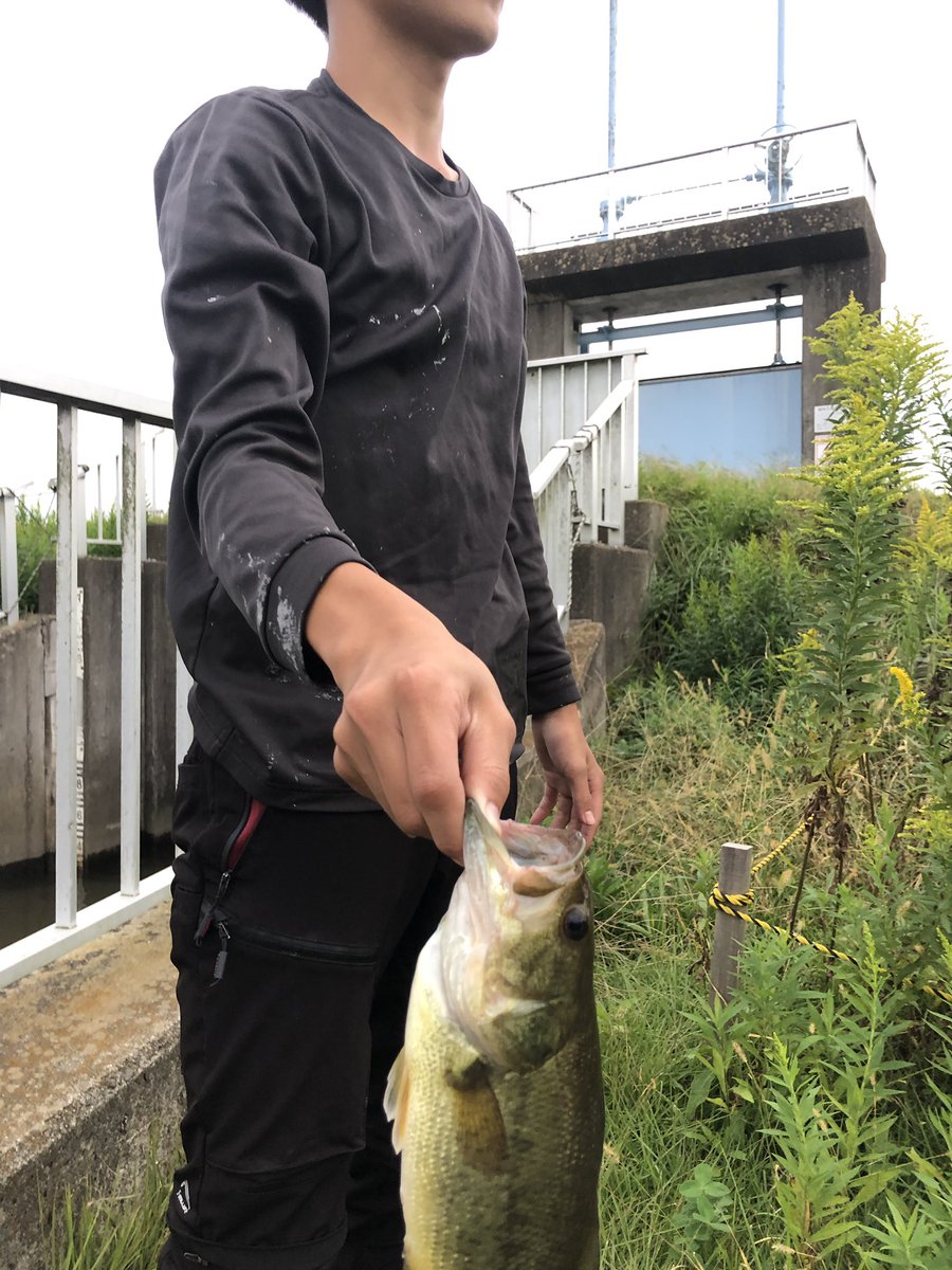 tttkkno's tweet photo. 今日は朝から1日北浦夕方に息子がゲット
なかなか釣れないな〜
自分はデコった https://t.co/WThNEs8I3P