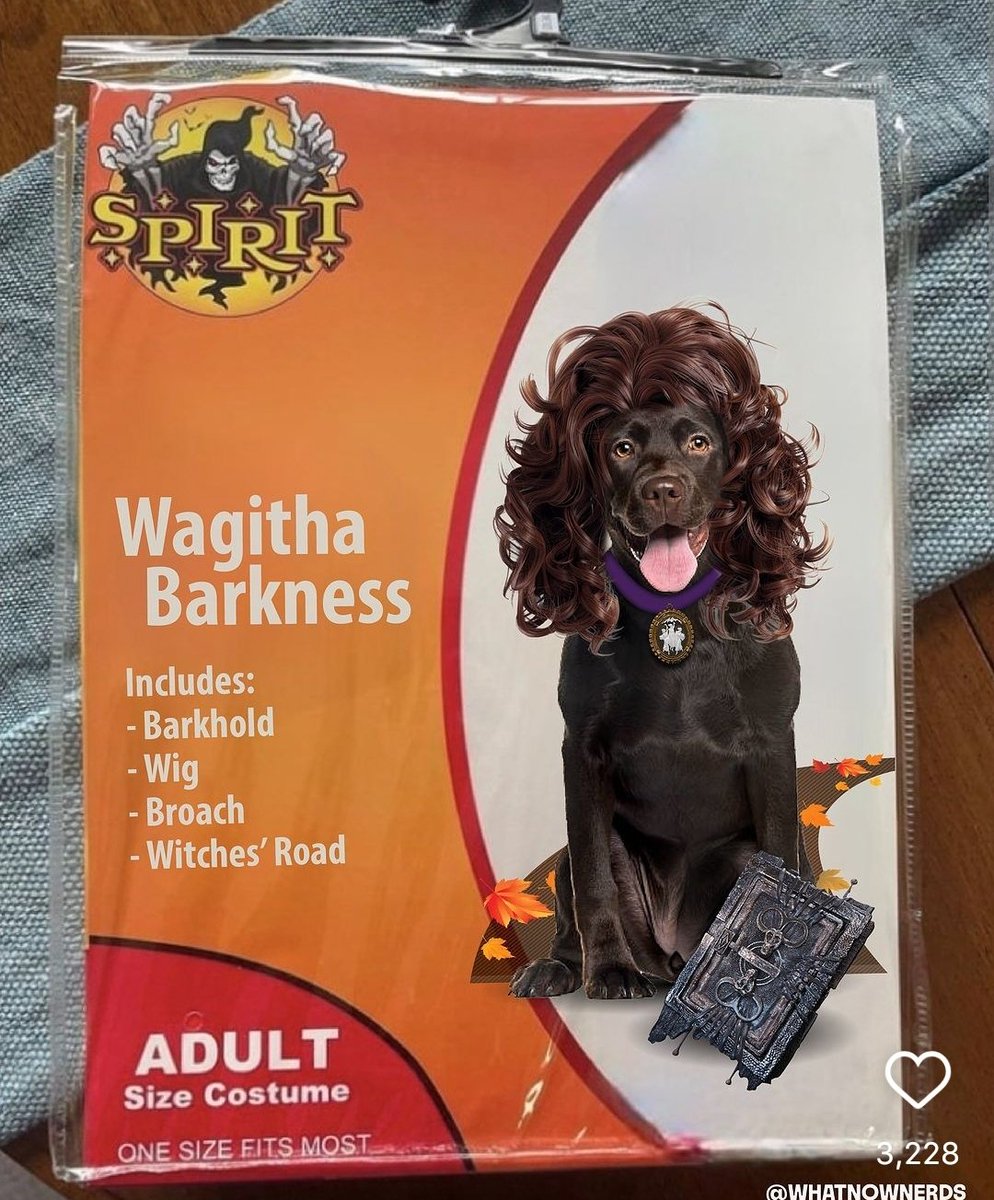 filmzwanda's tweet image. WAGITHA BARKNESS 😭😭😭 #AgathaAllAlong