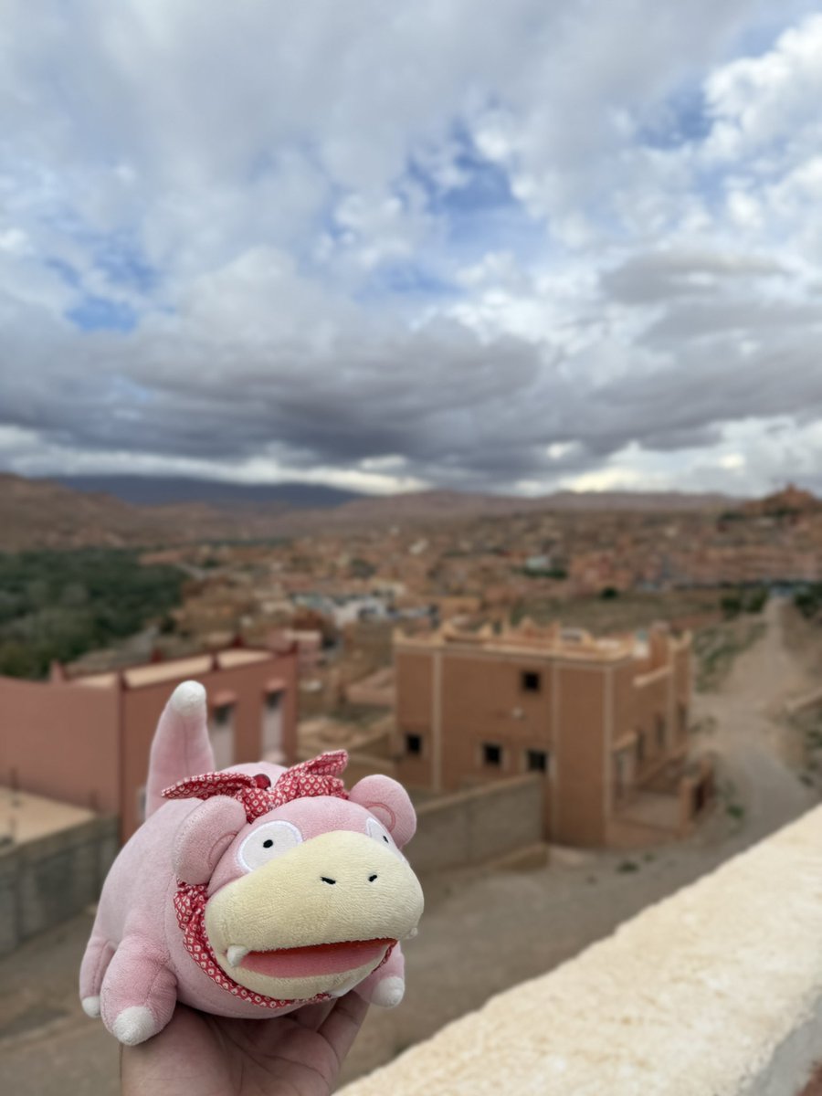 mlwmlwcat's tweet photo. Yadon's World Tour: Morocco Edition https://t.co/Cz1Krrh2Zz
